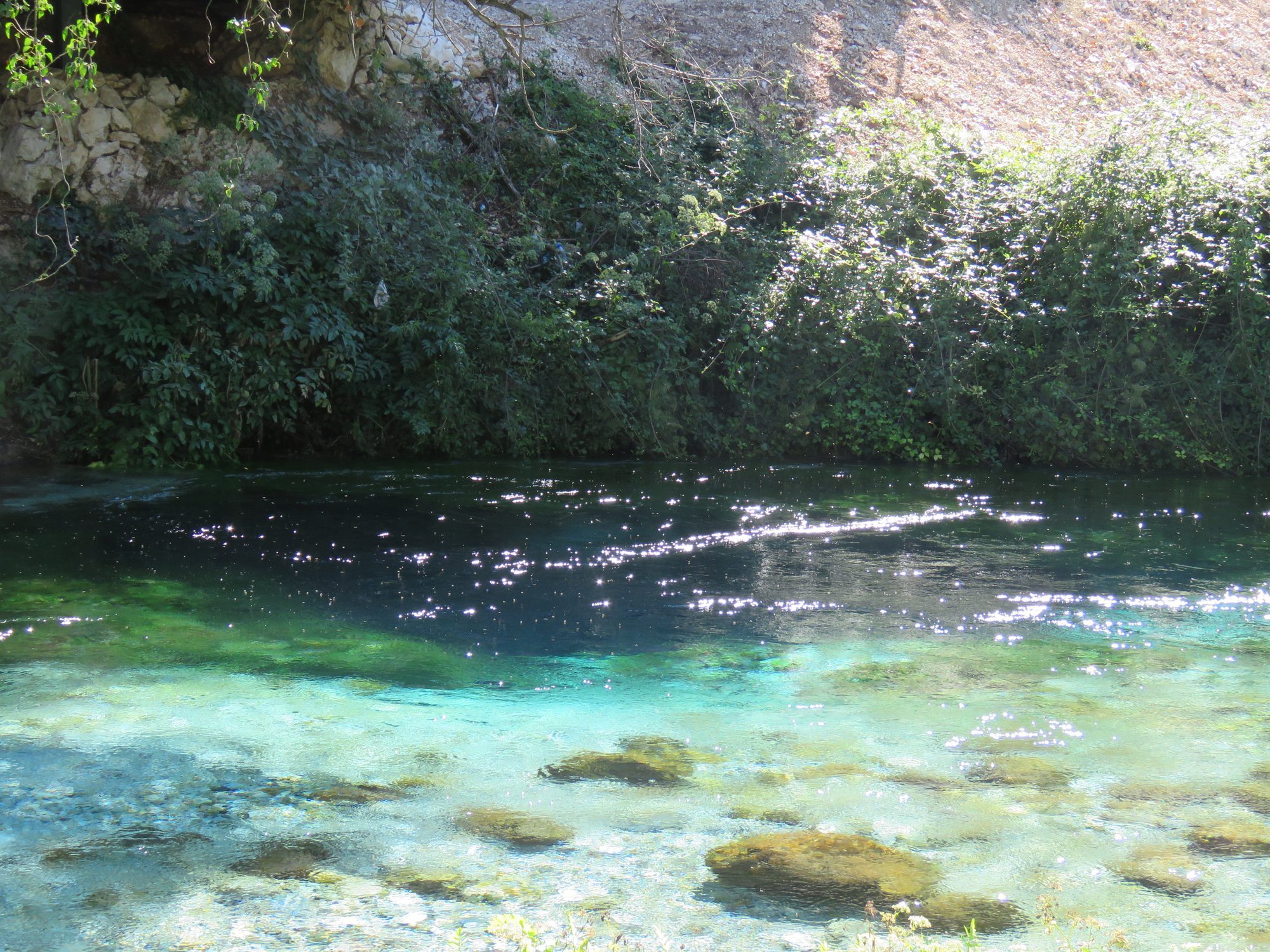 Clear turquoise water flowing over pale rocks and submerged branches below overhanging green trees.
