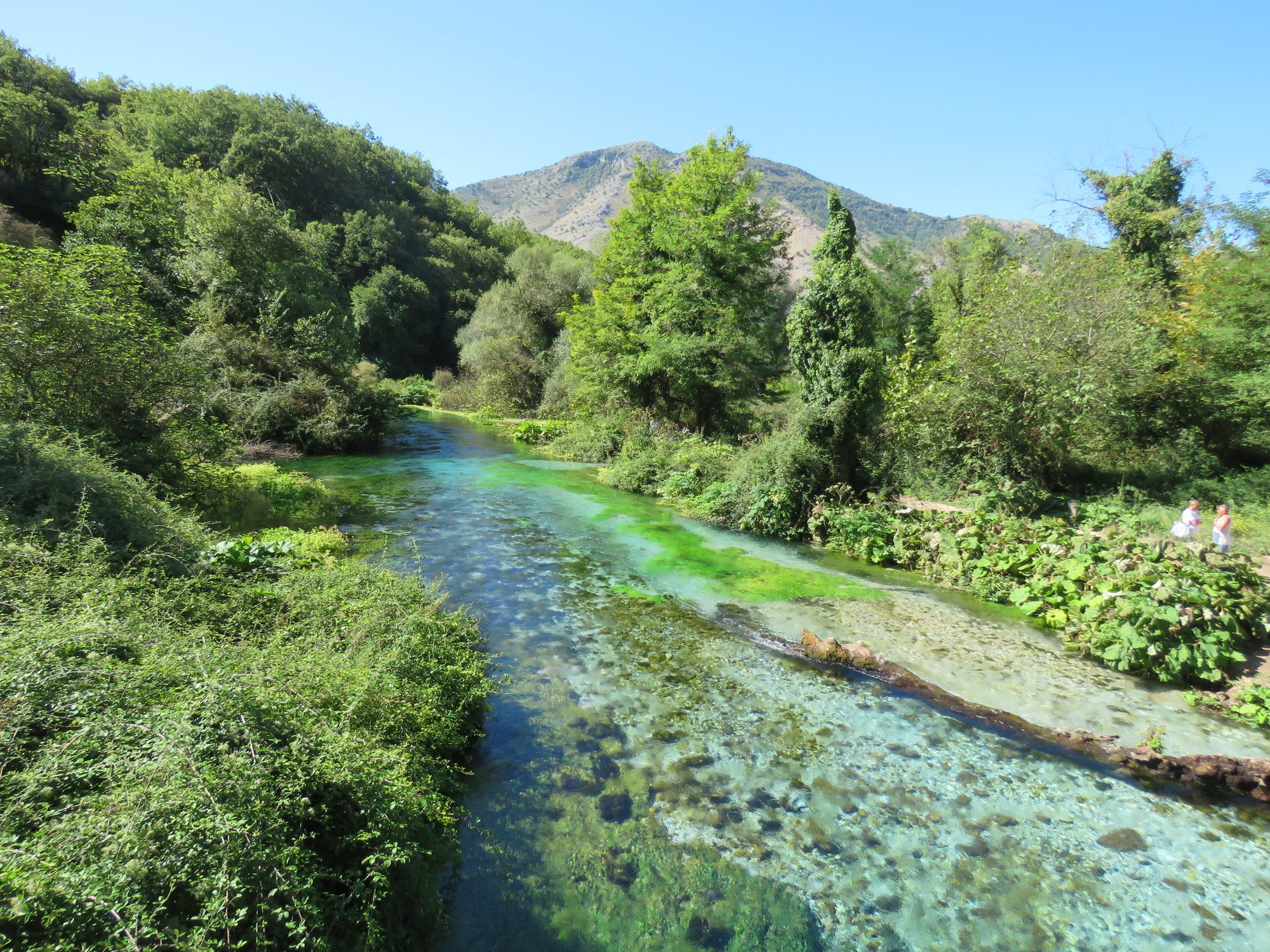 A deep circular pool of vivid blue water surrounded by green trees and pale rock, with a paler ring at the centre.