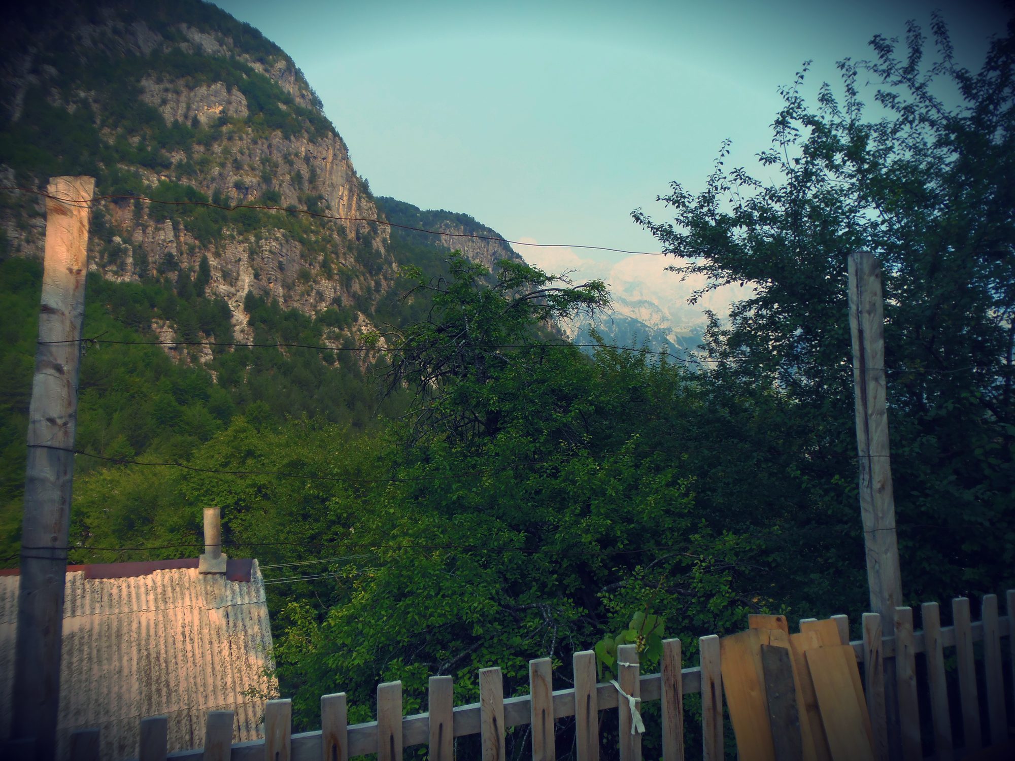 Stone houses with wooden-shingled roofs scattered across a green valley in Theth, surrounded by forested slopes.