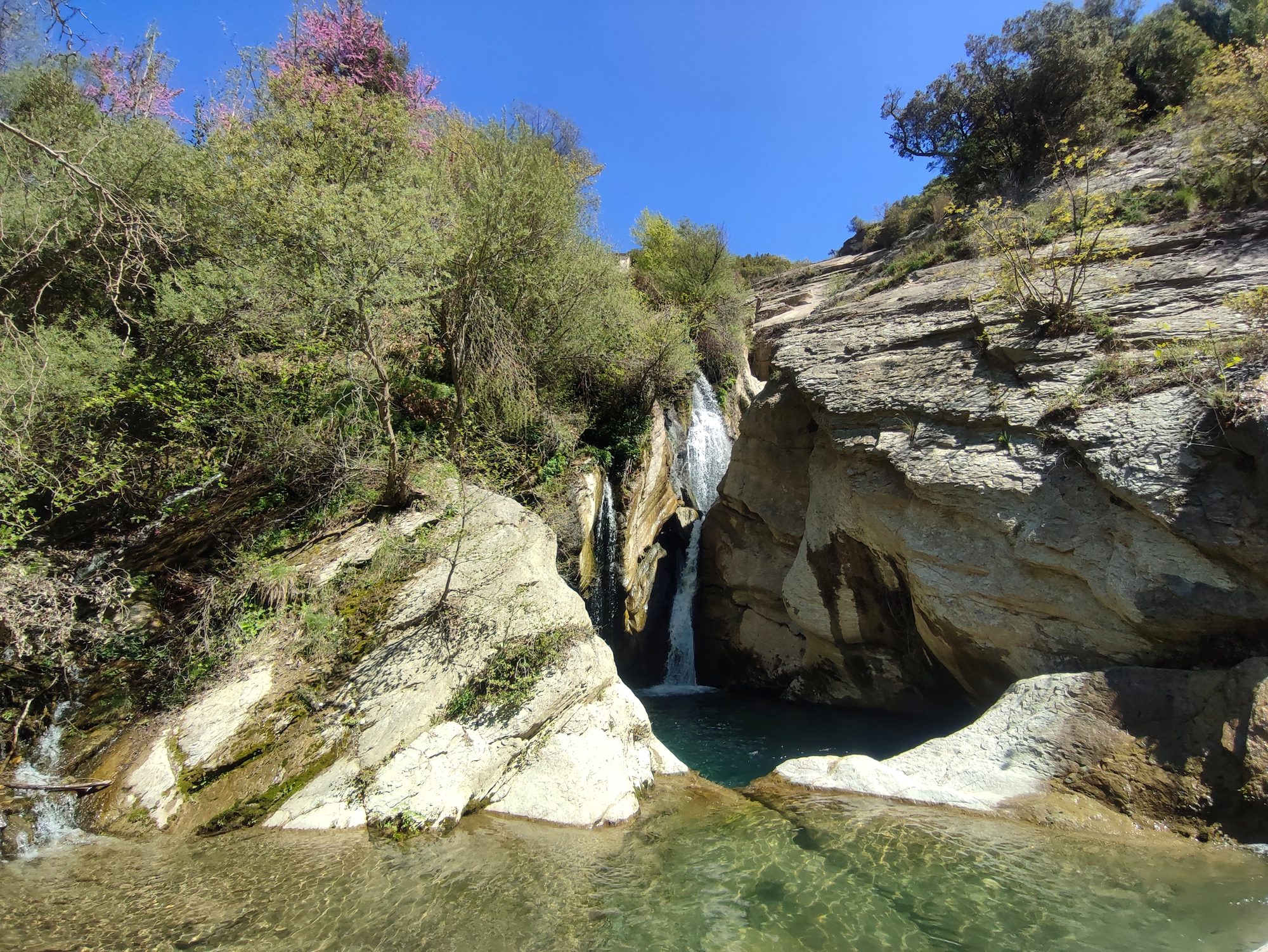 Waterfall dropping between white limestone rocks into a clear turquoise pool, with trees and pink blossom above.